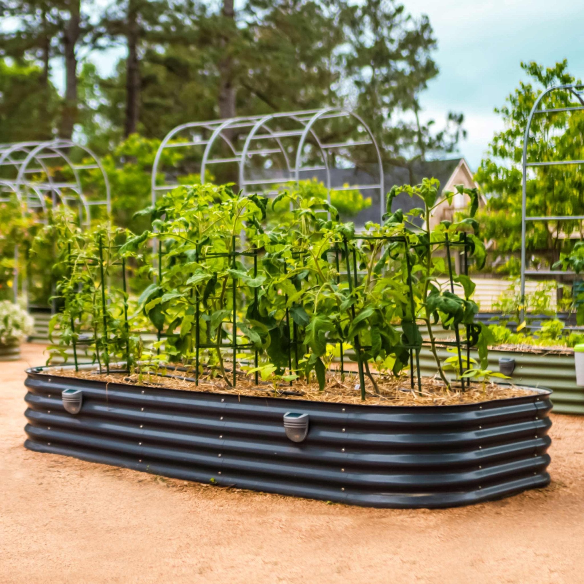 17" Tall 10 In 1 Jumbo Modular Metal Raised Garden Bed Kit - thewrightstore