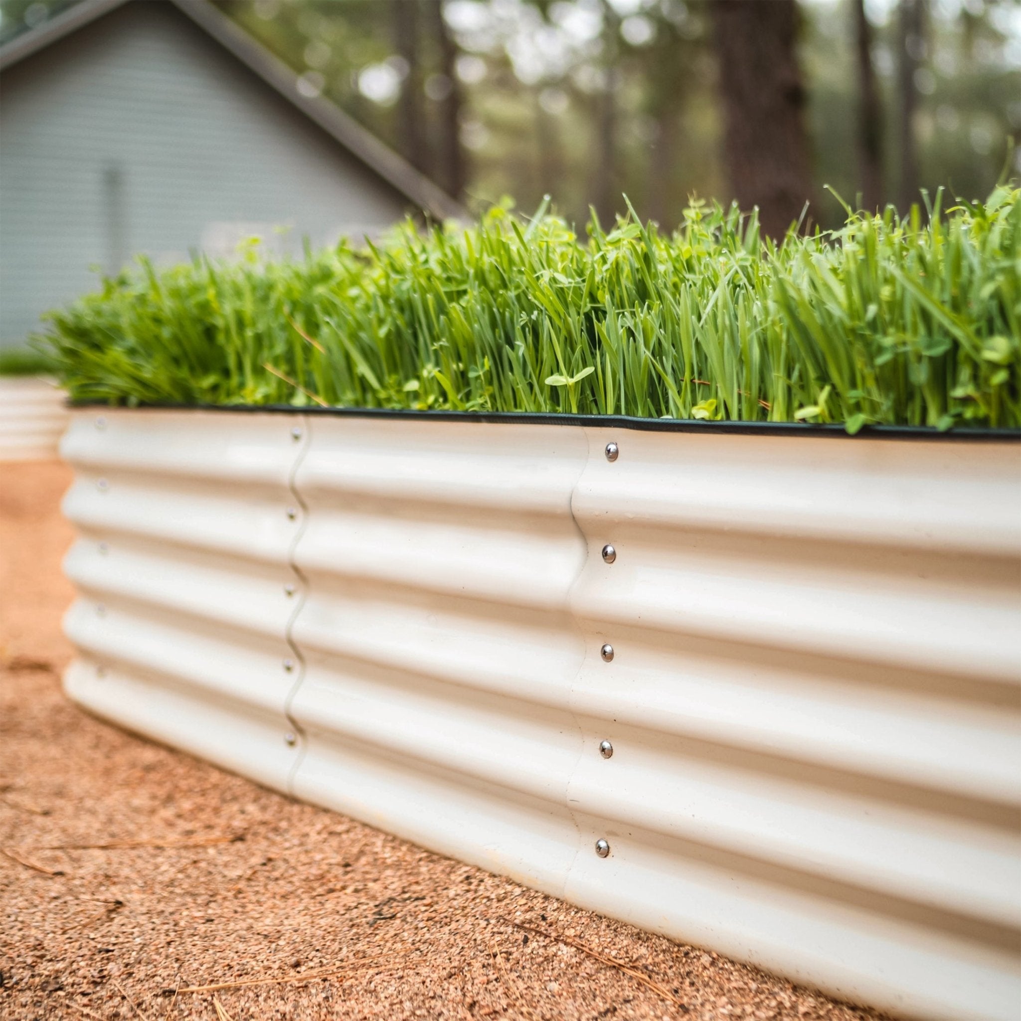 17" Tall 4 In 1 Small Modular Metal Raised Garden Bed Kit - thewrightstore