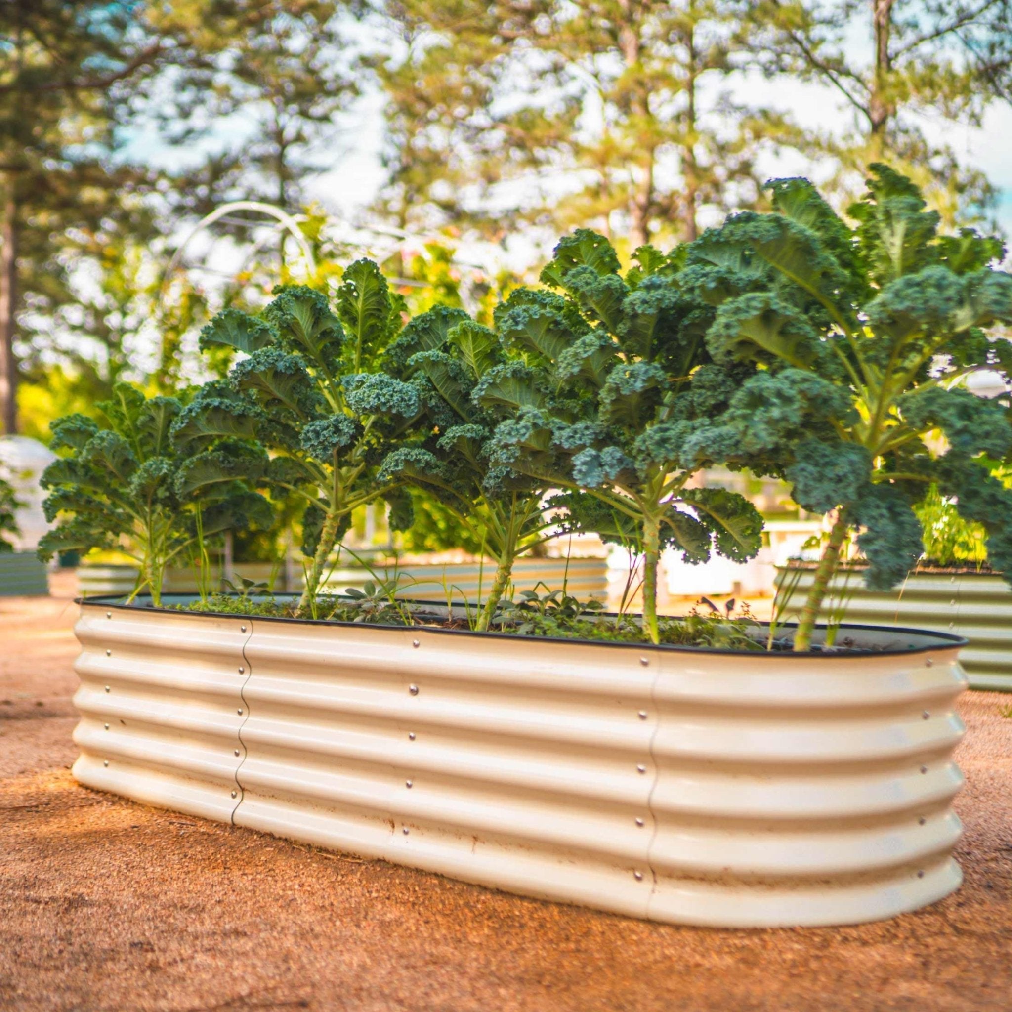 17" Tall 6 In 1 Medium Modular Metal Raised Garden Bed Kit - thewrightstore