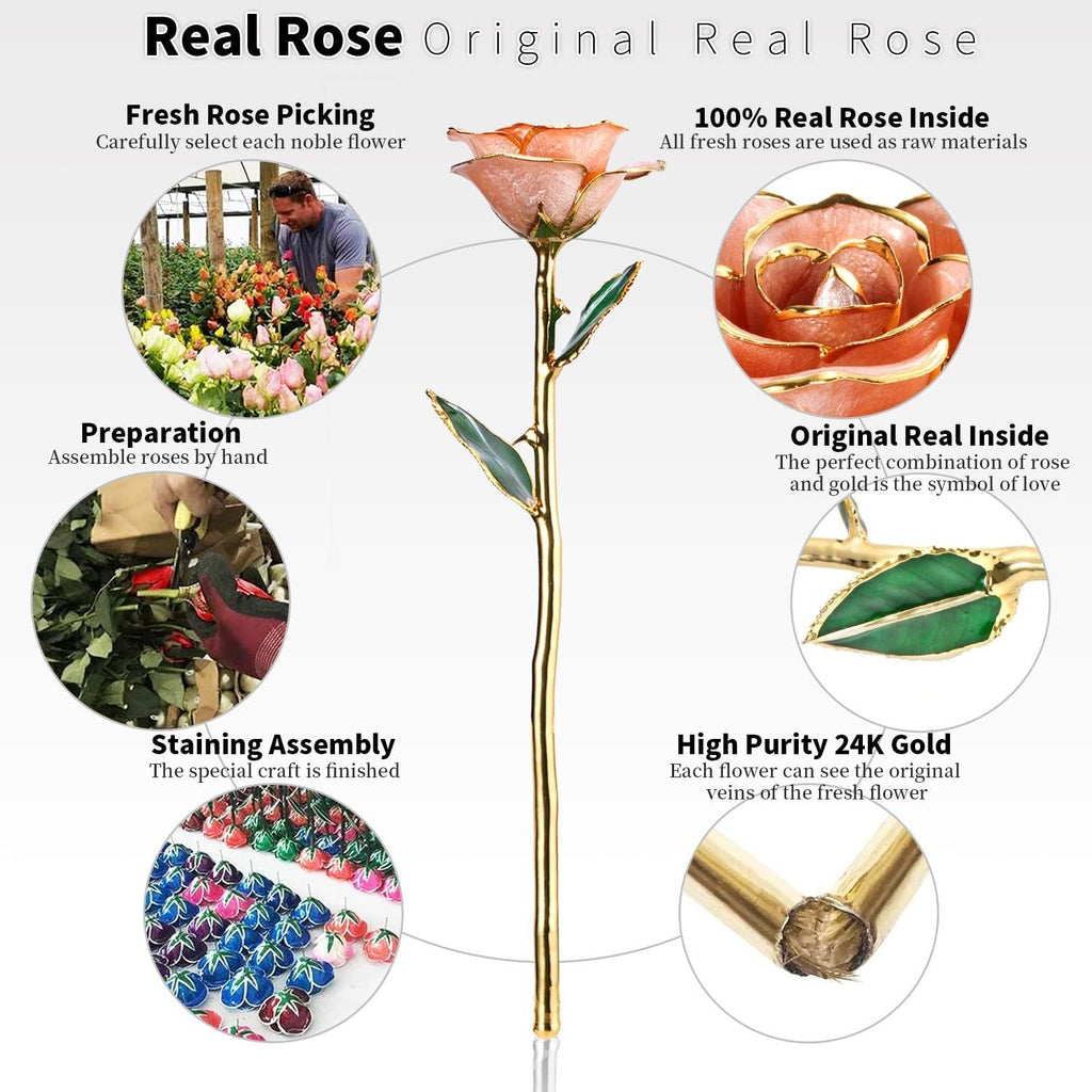 24K Gold - Dipped Real Rose with Stand - Exquisite Gift for Her and Perfect Present for Wives, Pink Finish - thewrightstore