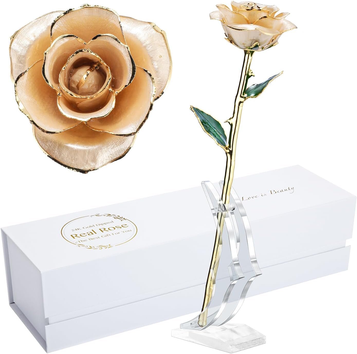 24K Gold - Dipped Real Rose with Stand - Exquisite Gift for Her and Perfect Present for Wives, Pink Finish - thewrightstore