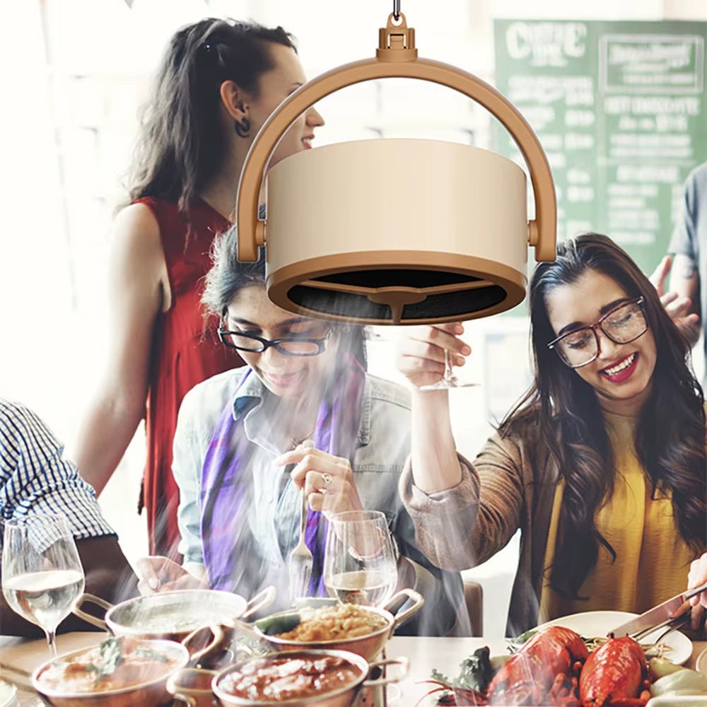 Clear the Air Instantly Cook Freely Without the Smoke Portable Power for a Cleaner Kitchen - thewrightstore