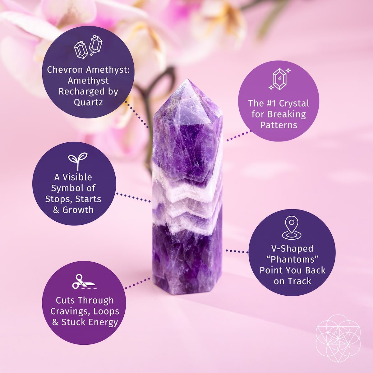 Cycle Breaker - Chevron Amethyst Point of Transformation - thewrightstore