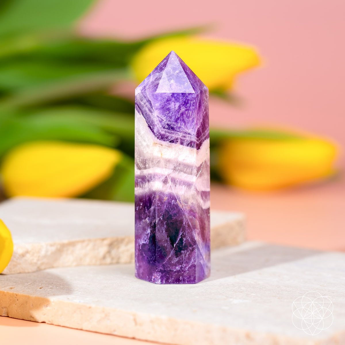 Cycle Breaker - Chevron Amethyst Point of Transformation - thewrightstore