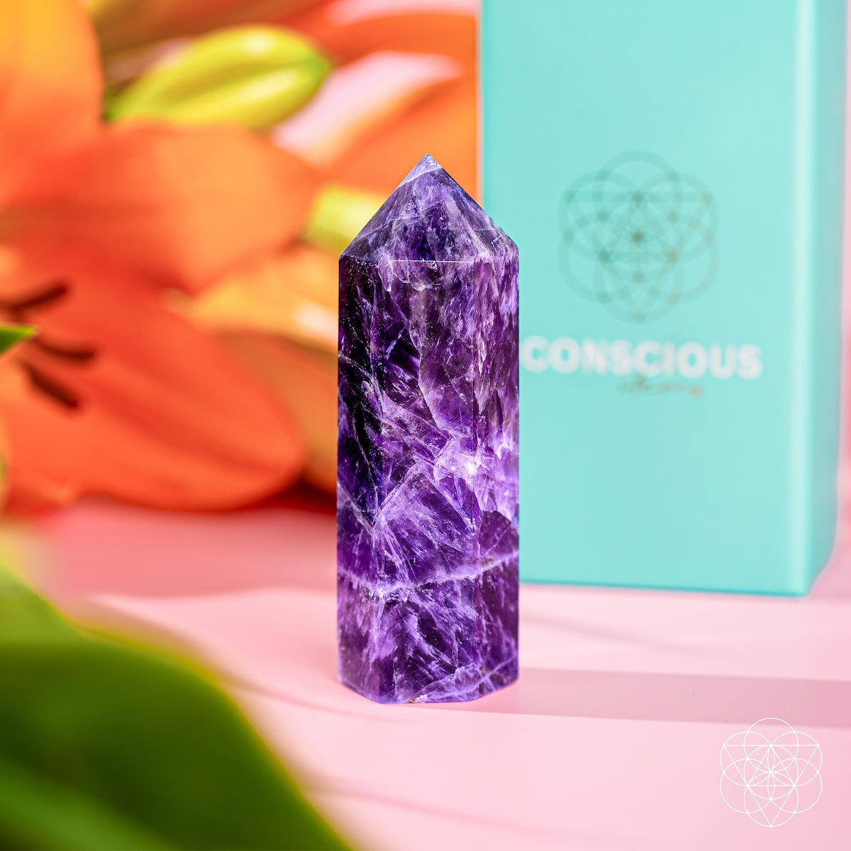 Cycle Breaker - Chevron Amethyst Point of Transformation - thewrightstore