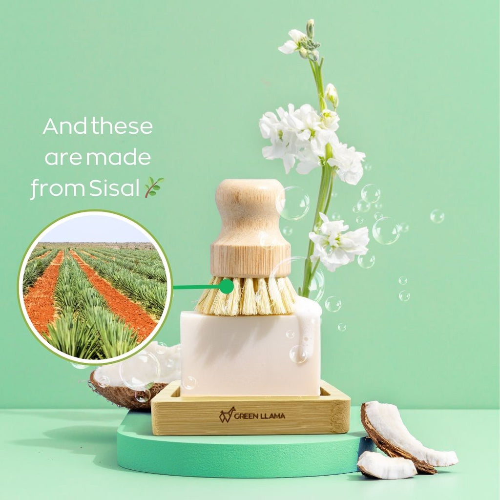 Eco - Friendly Dish Washing Starter Pack - Sparkling Clean & Green - thewrightstore