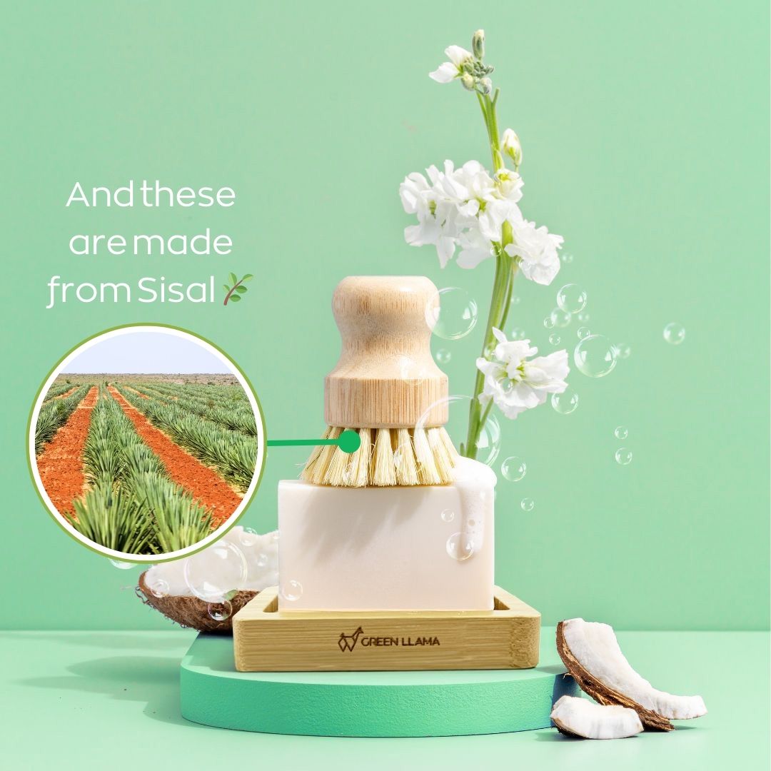 Eco - Friendly Dish Washing Starter Pack - Sparkling Clean & Green - thewrightstore
