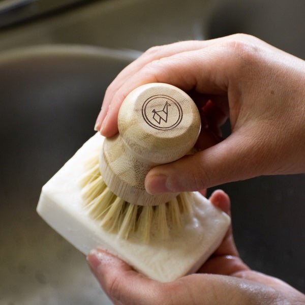 Eco - Friendly Dish Washing Starter Pack - Sparkling Clean & Green - thewrightstore