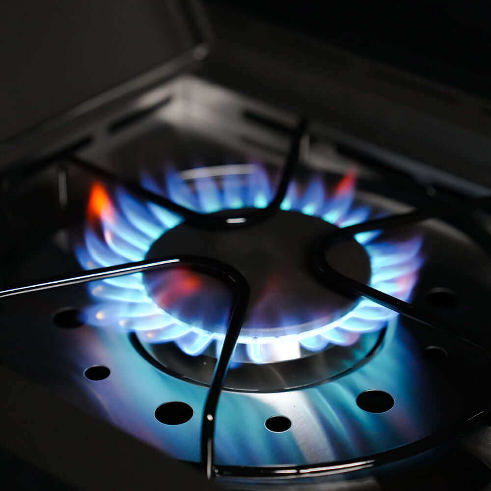 Eminence 425 | Iconic Fortified Propane Gas Grill - thewrightstore