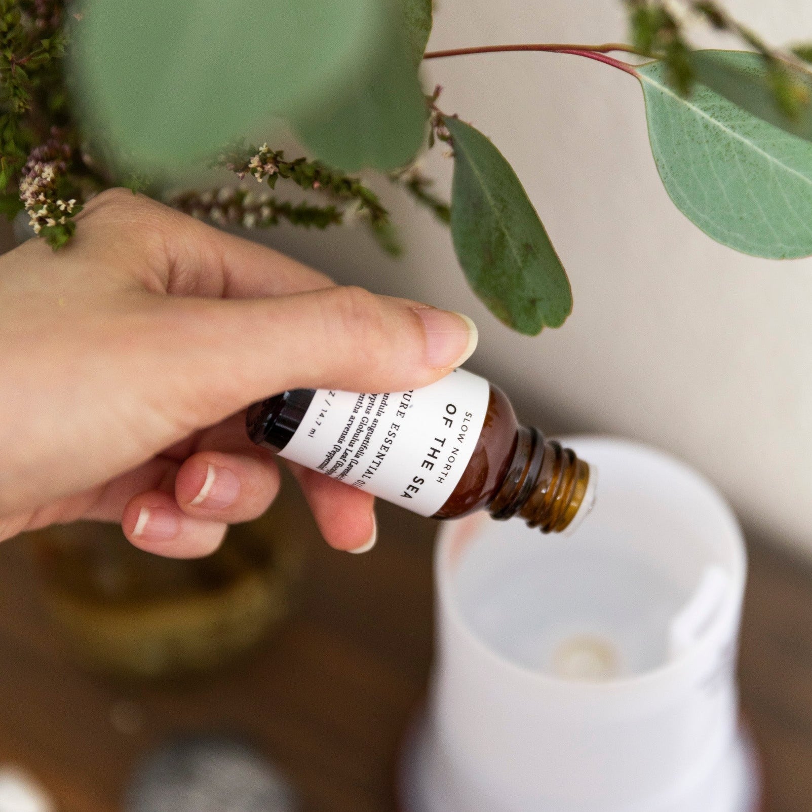 Essential Oil Diffuser Blends - thewrightstore