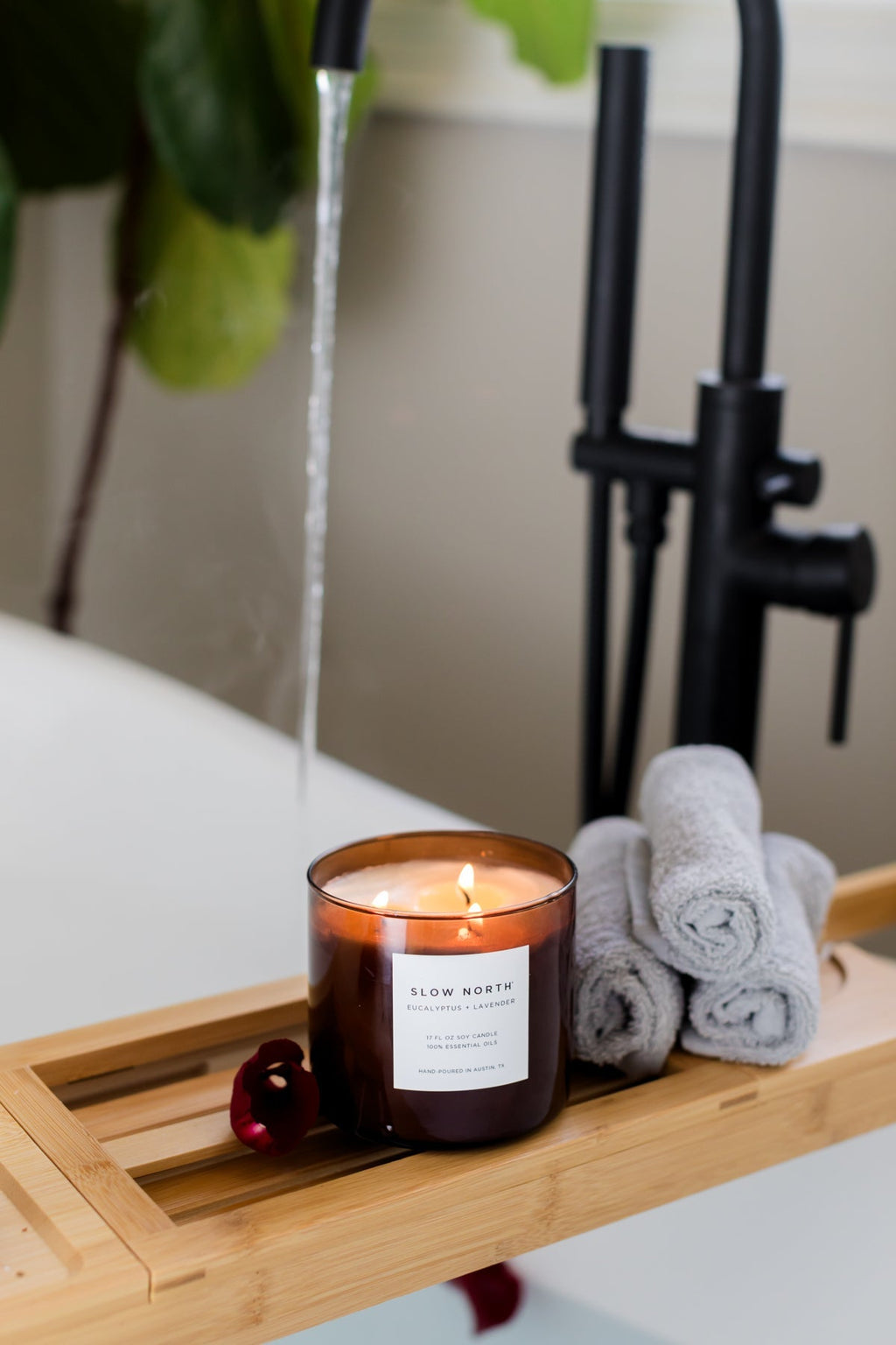 Eucalyptus + Lavender - Signature 3 - Wick Candle - thewrightstore
