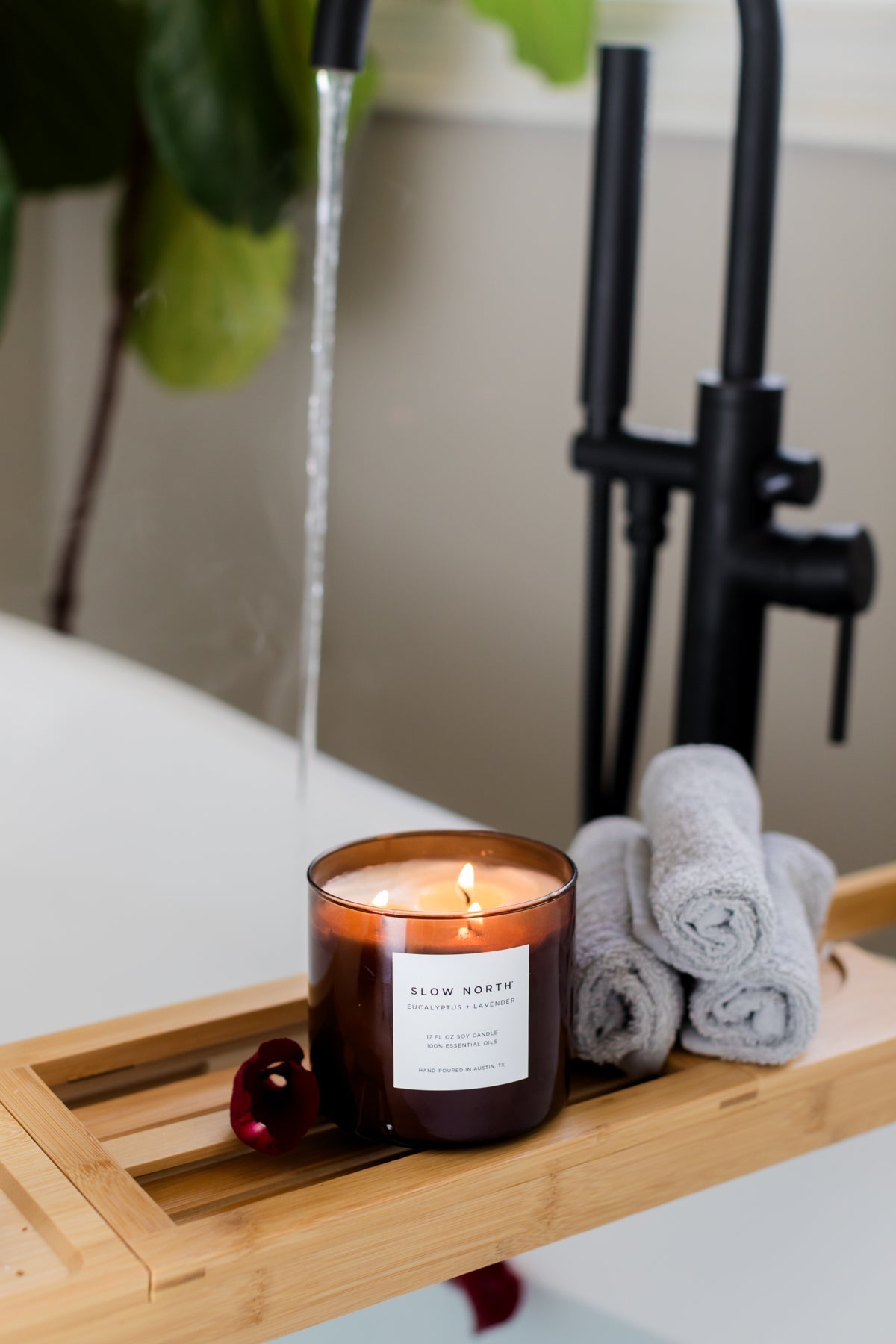 Eucalyptus + Lavender - Signature 3 - Wick Candle - thewrightstore