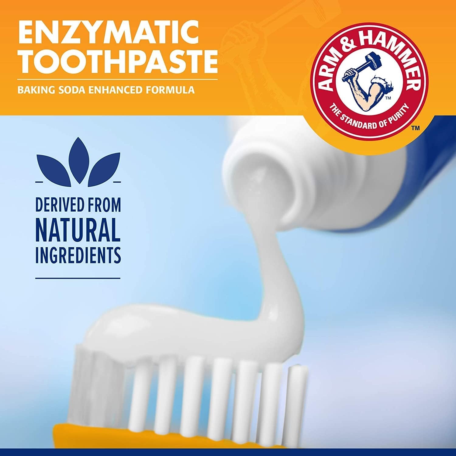 for Pets Tartar Control Dog Dental Care Kit, Dog Toothpaste Kit with Toothbrush and Finger Brush for Oral Hygiene and Fresh Breath Care, Banana Mint Flavor, 2.5 Oz, 3 - Piece Kit - thewrightstore