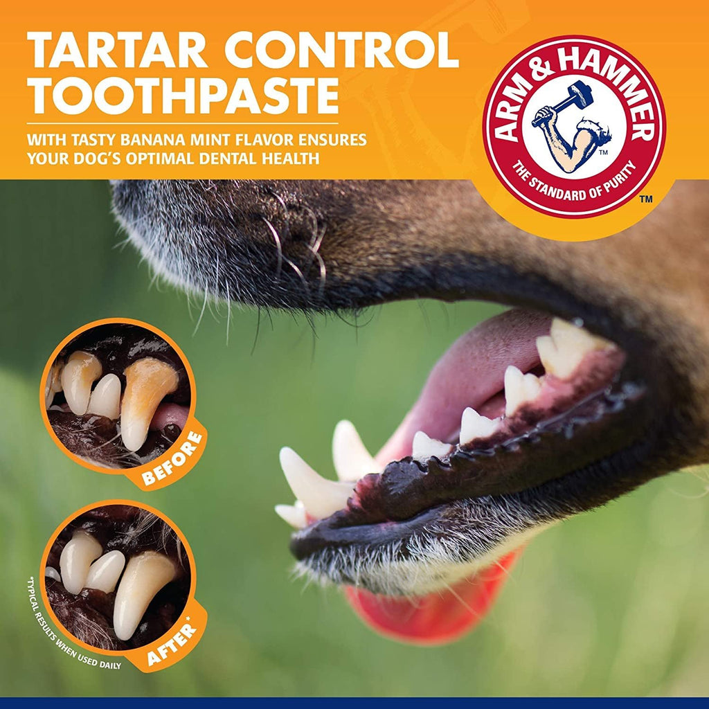 for Pets Tartar Control Dog Dental Care Kit, Dog Toothpaste Kit with Toothbrush and Finger Brush for Oral Hygiene and Fresh Breath Care, Banana Mint Flavor, 2.5 Oz, 3 - Piece Kit - thewrightstore