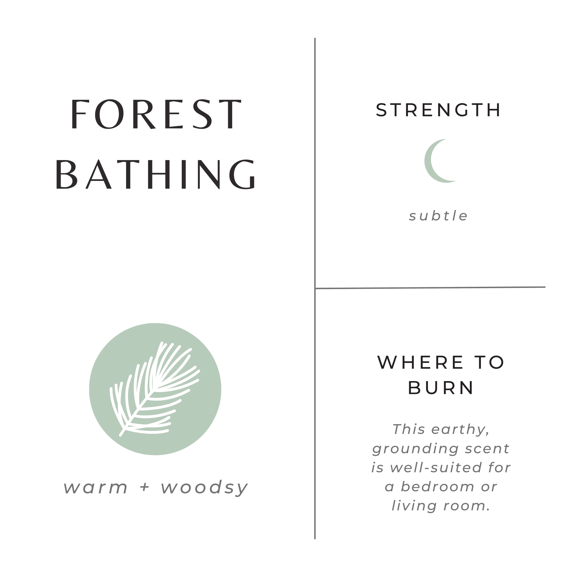 Forest Bathing - Fir + Pine + Patchouli - thewrightstore