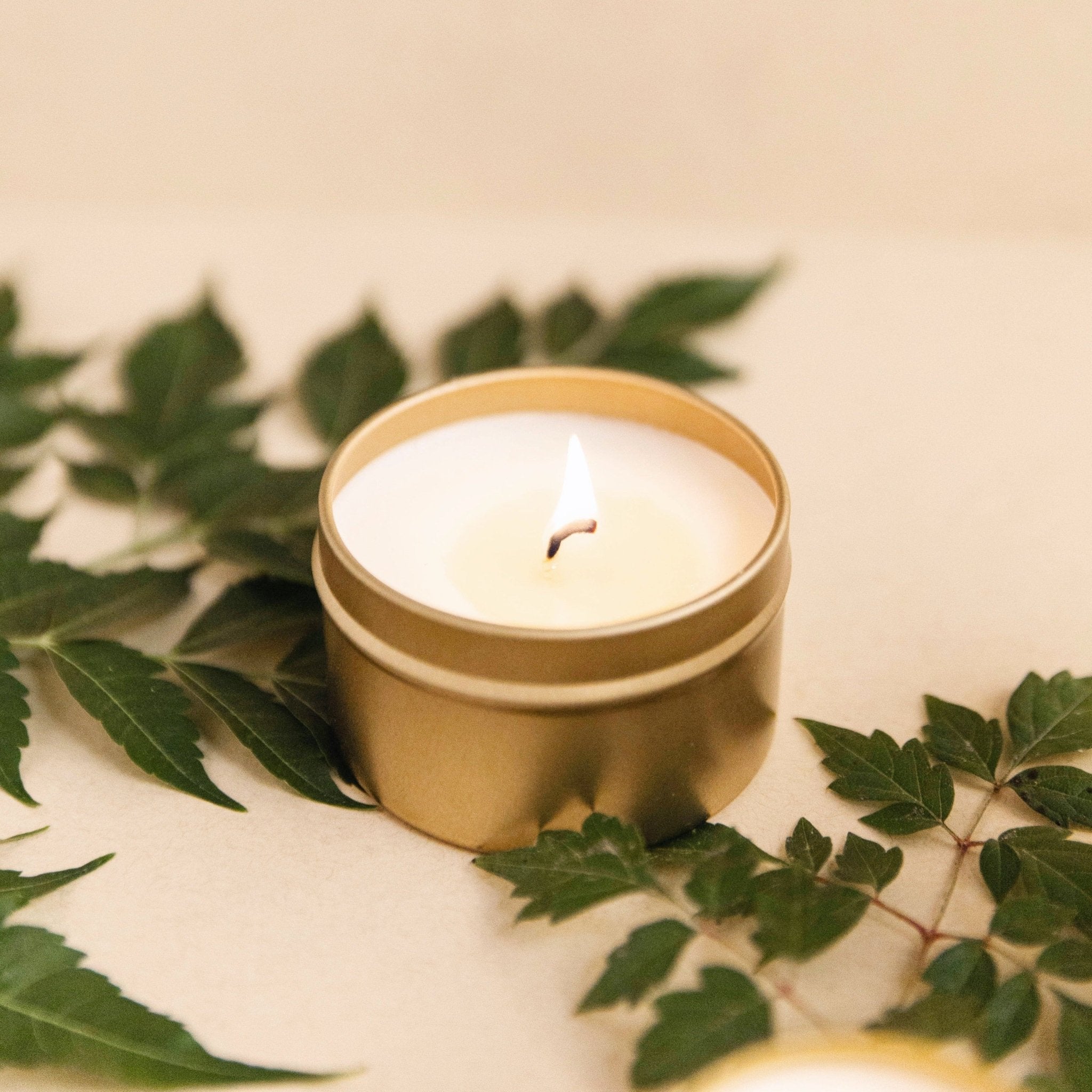 Forest Bathing - Fir + Pine + Patchouli - thewrightstore