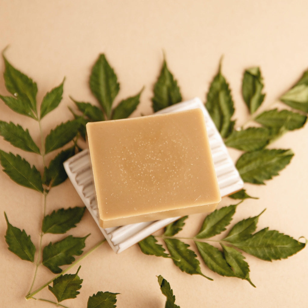 Forest Bathing - Natural Bar Soap - thewrightstore