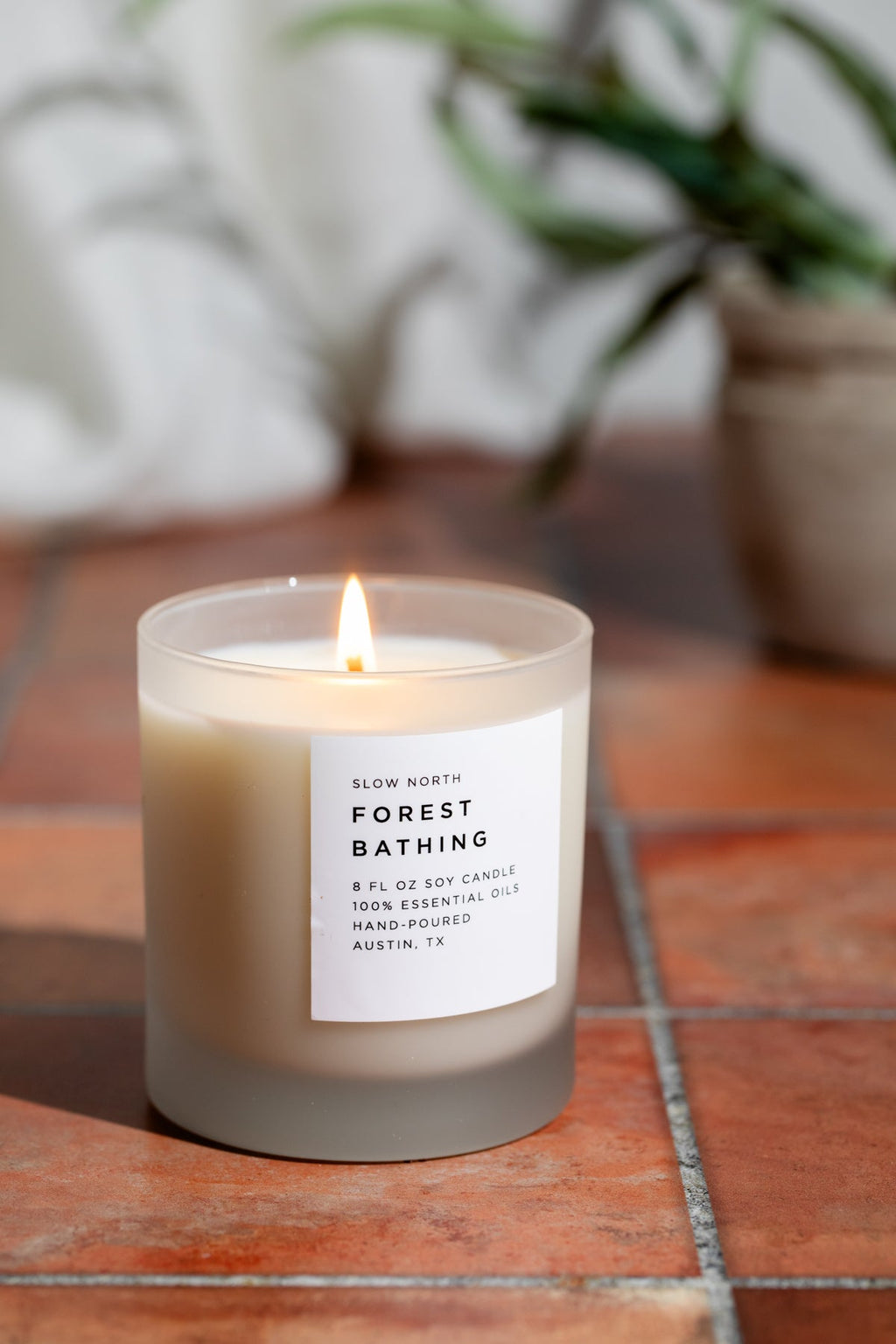 Forest Bathing - Signature Candle (Fir + Pine + Patchouli) - thewrightstore