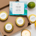 Fresh Collection - 4 Pack - thewrightstore