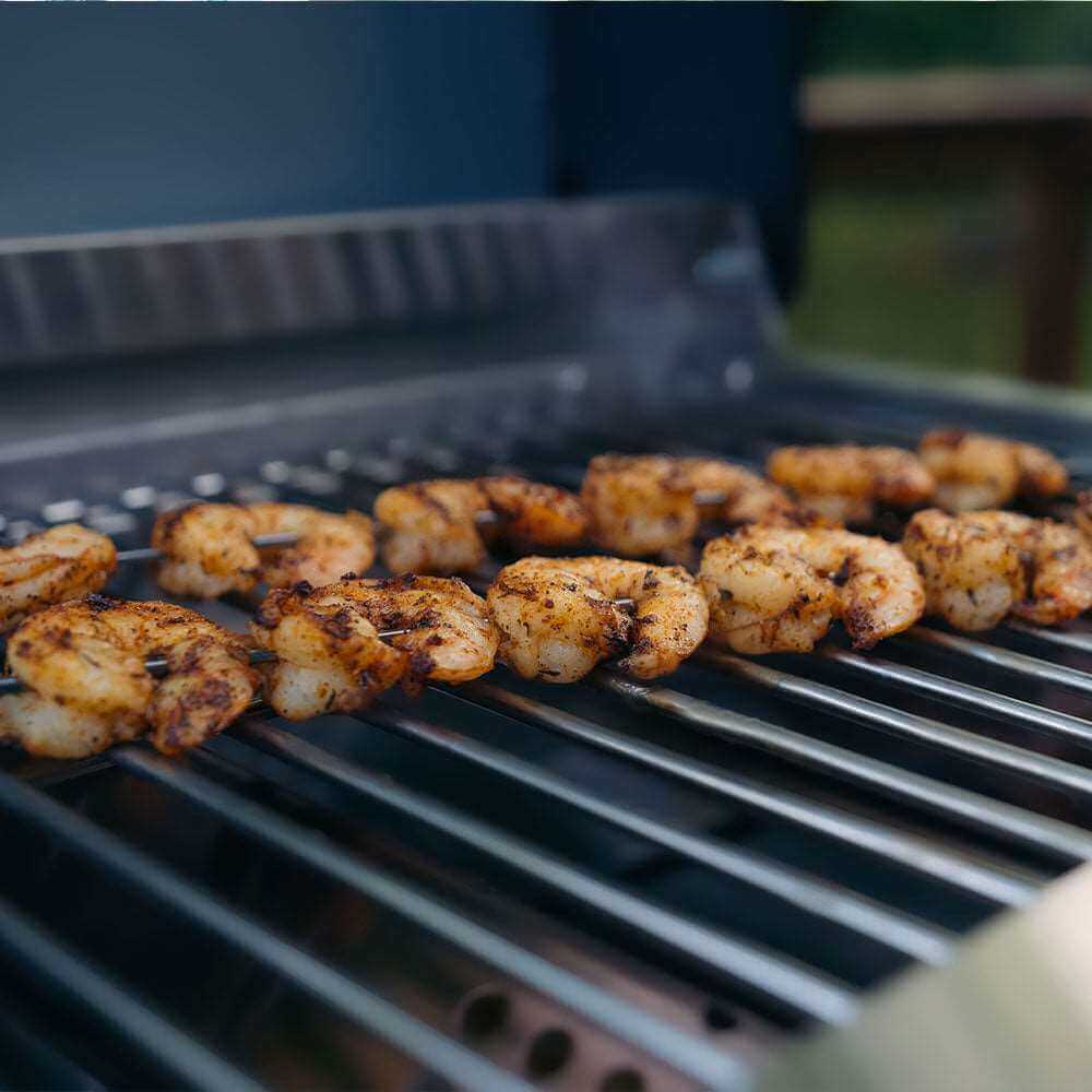 G22 | Stainless Tabletop Propane Gas Grill - thewrightstore