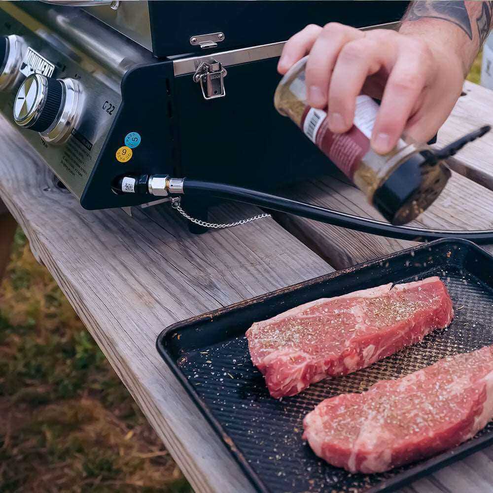 G22 | Stainless Tabletop Propane Gas Grill - thewrightstore