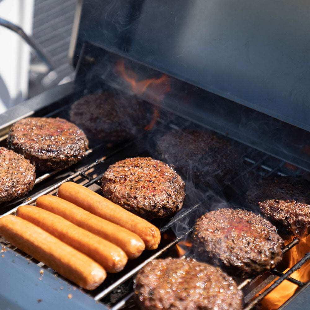 G22 | Stainless Tabletop Propane Gas Grill - thewrightstore