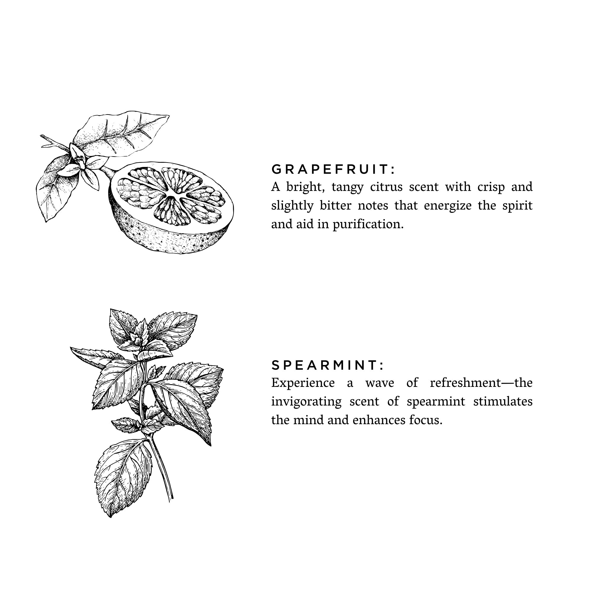 Grapefruit + Spearmint - Signature Candle - thewrightstore