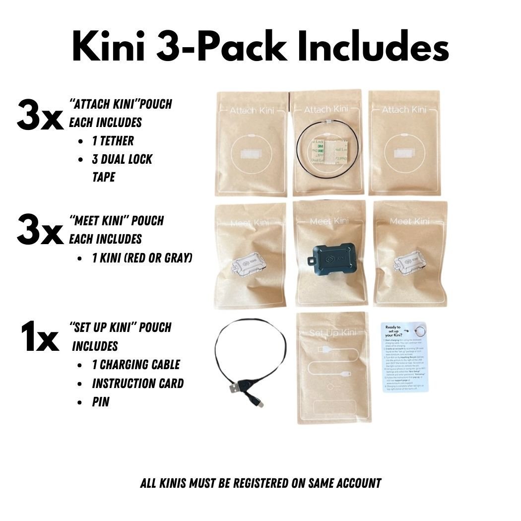 Kini SafeAlert - Wi - Fi Tamper Alert Device with Real - Time SMS, Email & Push Notifications - thewrightstore