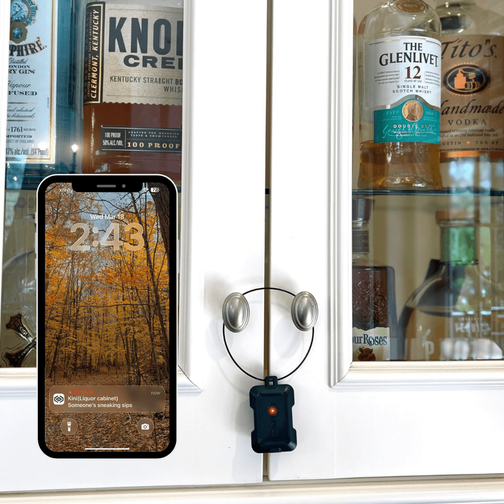 Kini SafeAlert - Wi - Fi Tamper Alert Device with Real - Time SMS, Email & Push Notifications - thewrightstore