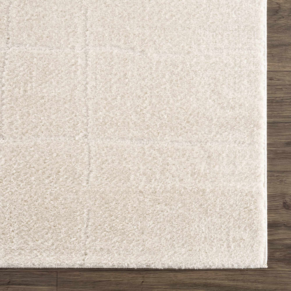 Koume Ivory Area Rug - thewrightstore