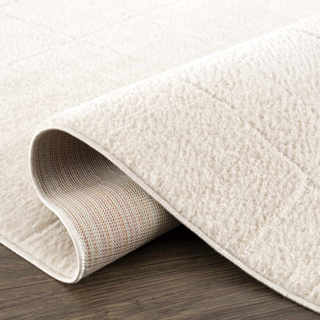 Koume Ivory Area Rug - thewrightstore