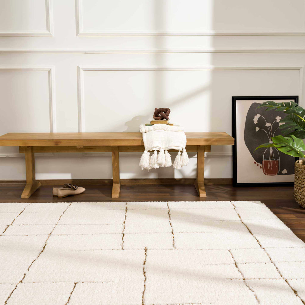 Koume Ivory & Brown Area Rug - thewrightstore