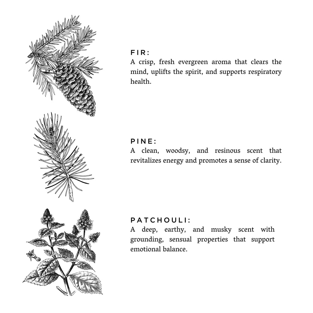 Laundry Powder - Forest Bathing - thewrightstore