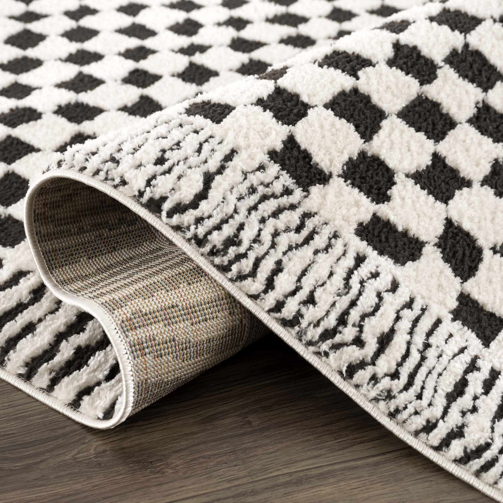 Leryn Black & White Checkered Area Rug - thewrightstore