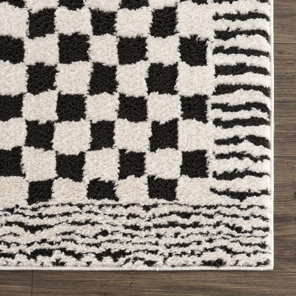 Leryn Black & White Checkered Area Rug - thewrightstore
