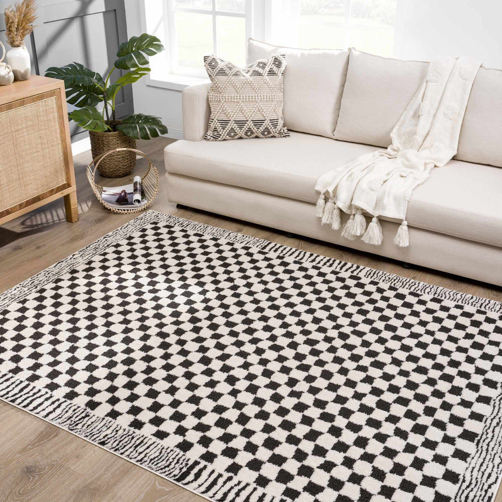 Leryn Black & White Checkered Area Rug - thewrightstore