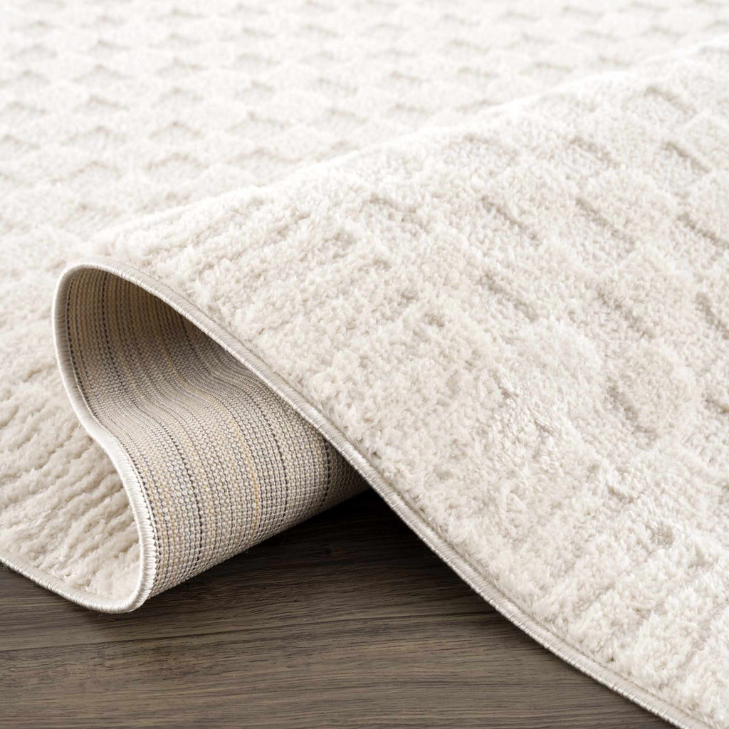 Leryn Ivory Checkered Area Rug - thewrightstore