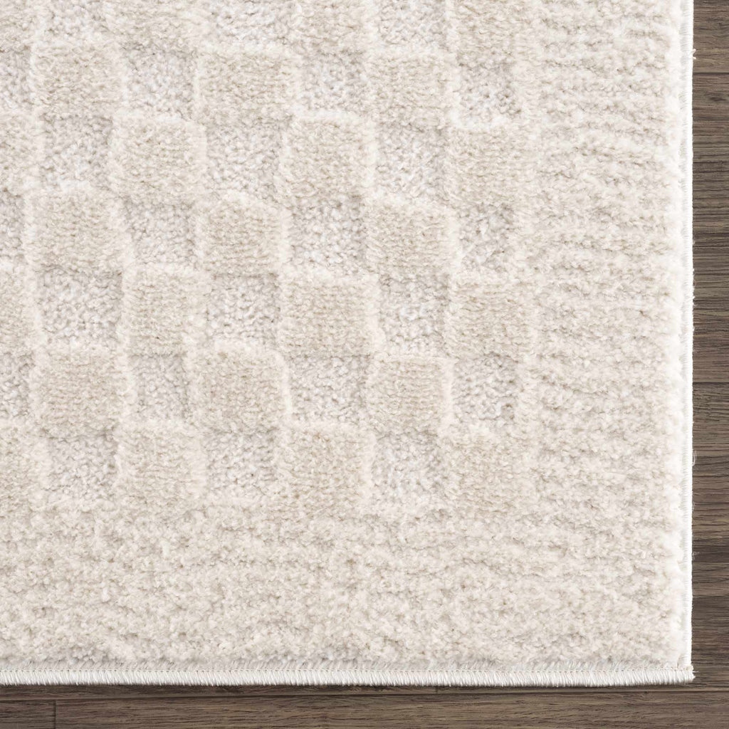Leryn Ivory Checkered Area Rug - thewrightstore