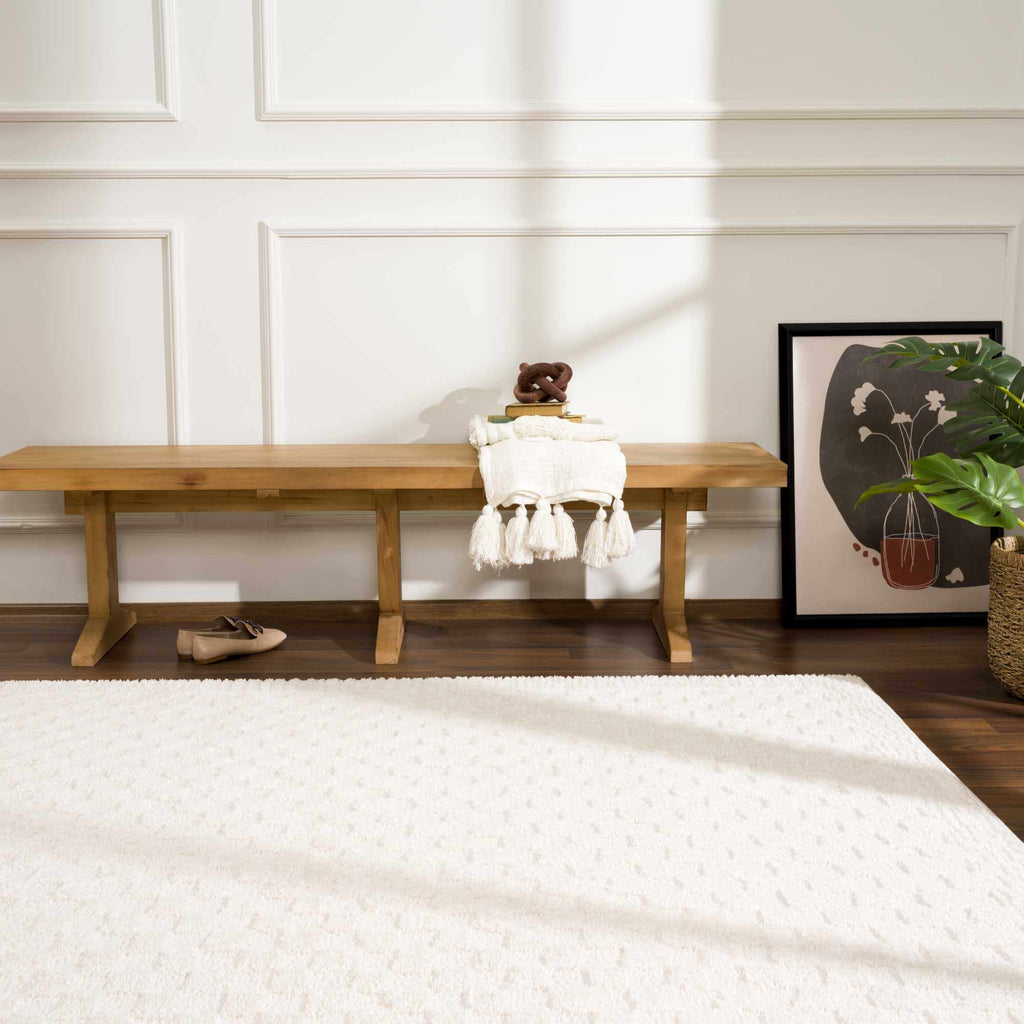 Leryn Ivory Checkered Area Rug - thewrightstore
