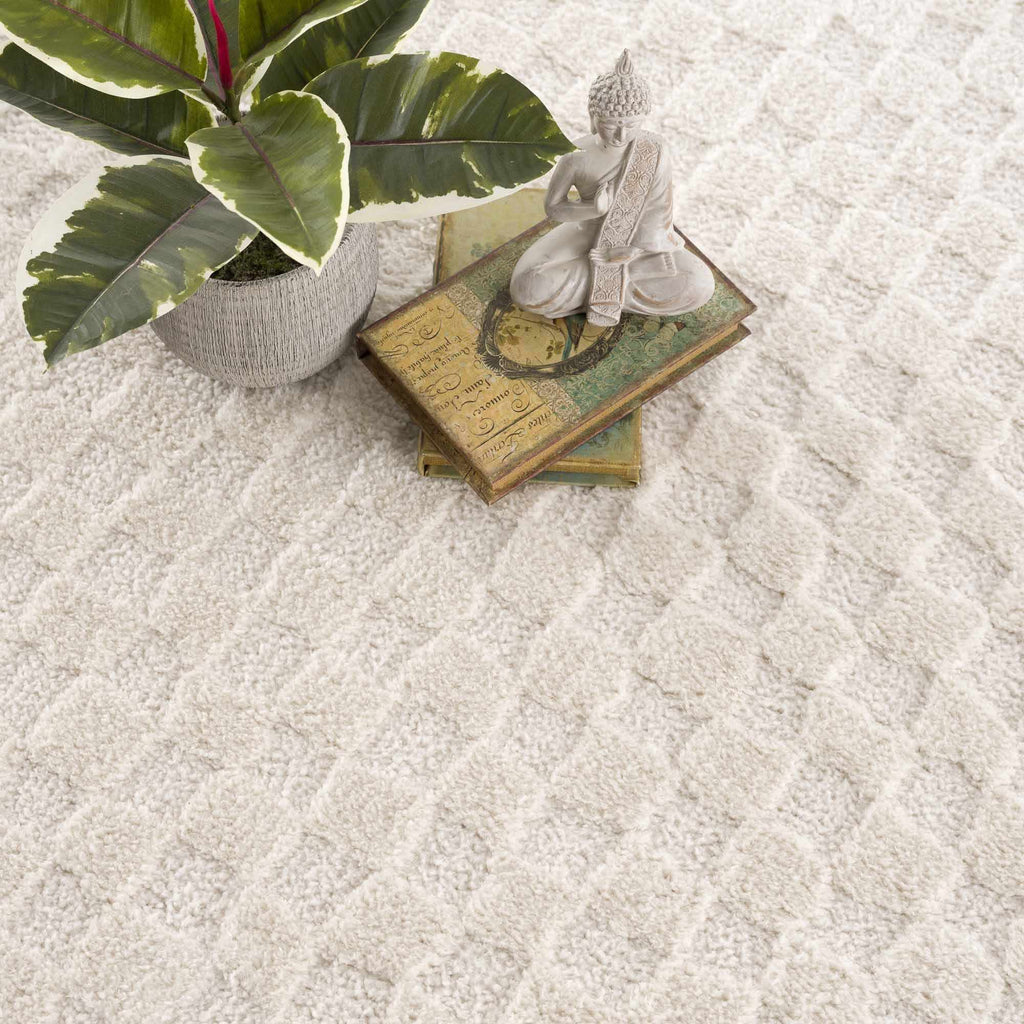Leryn Ivory Checkered Area Rug - thewrightstore