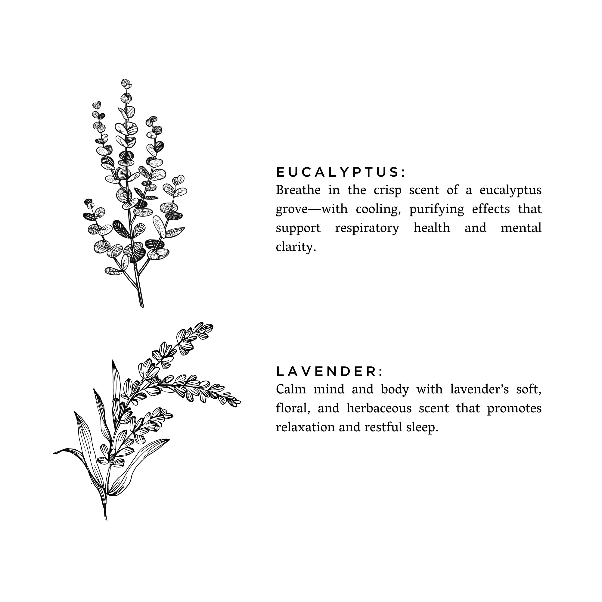 Linen Spray - Eucalyptus + Lavender - thewrightstore