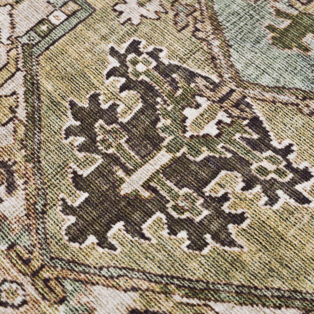 Neyland Sage Green Area Rug - thewrightstore