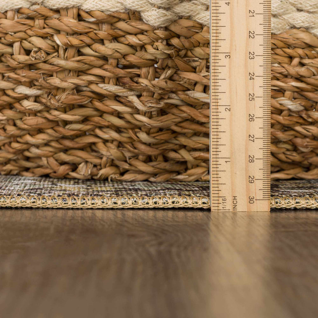 Neyland Sage Green Area Rug - thewrightstore
