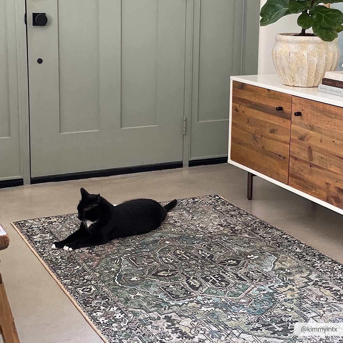 Neyland Sage Green Area Rug - thewrightstore