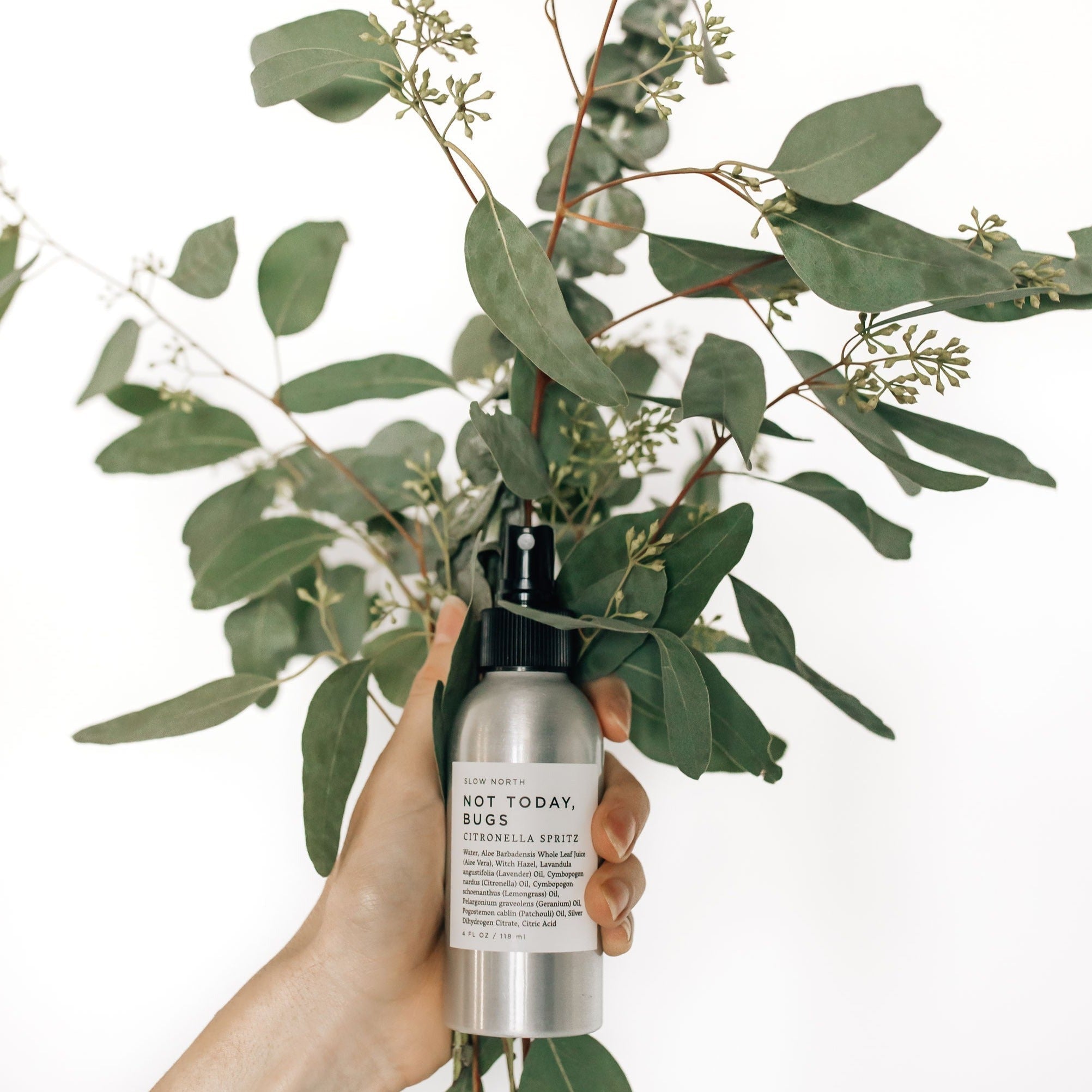Not Today, Bugs - Bug Spray - thewrightstore