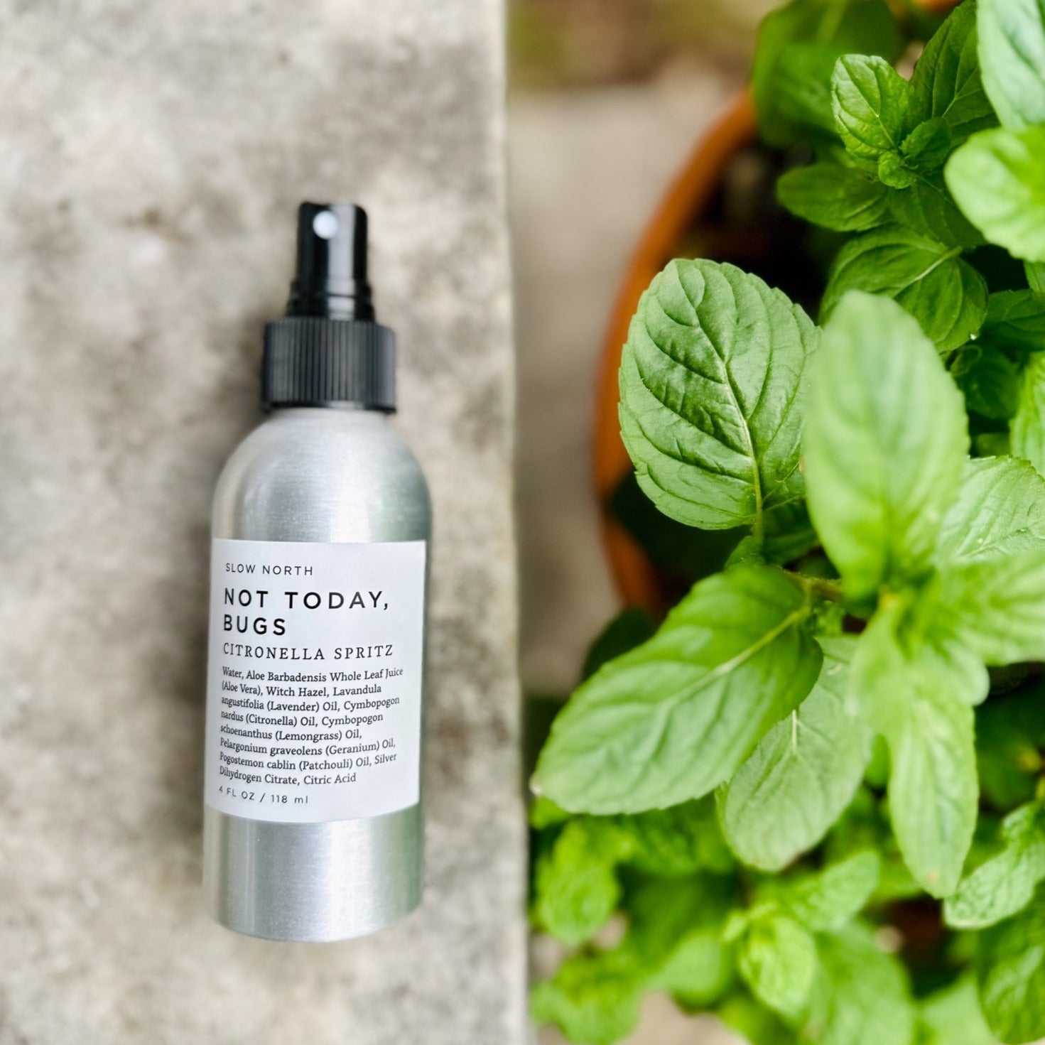 Not Today, Bugs - Bug Spray - thewrightstore