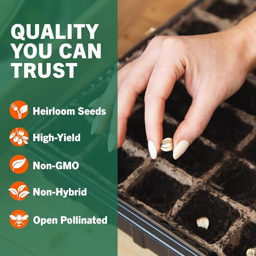 Open Seed Vault - 15,000 Heirloom Seeds Across 32 Varieties for Survival Gardening - Non-GMO Vegetable and Fruit Seeds for 2026 Season - Suitable for Indoor and Outdoor Planting - thewrightstore