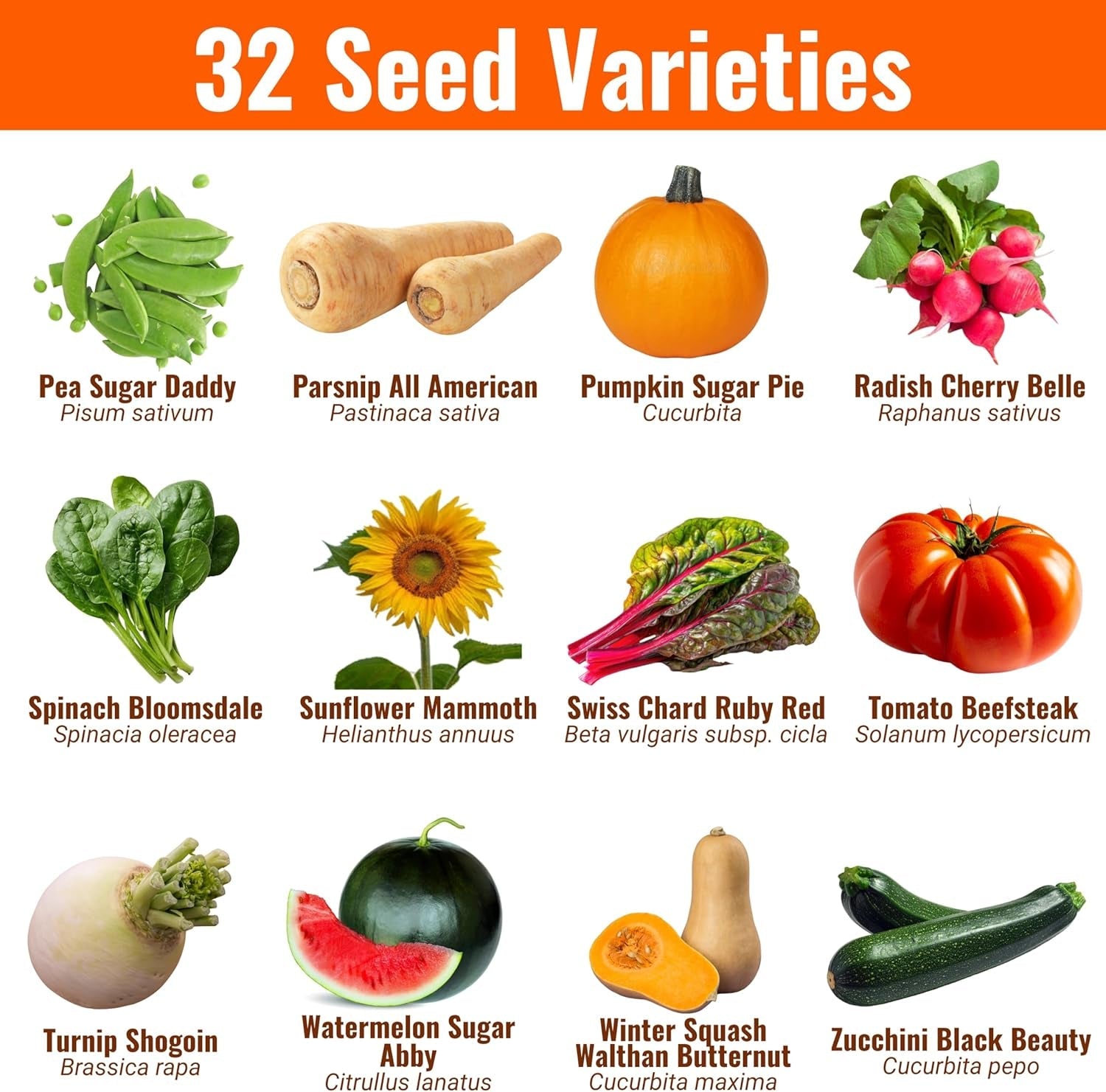 Open Seed Vault - 15,000 Heirloom Seeds Across 32 Varieties for Survival Gardening - Non-GMO Vegetable and Fruit Seeds for 2026 Season - Suitable for Indoor and Outdoor Planting - thewrightstore