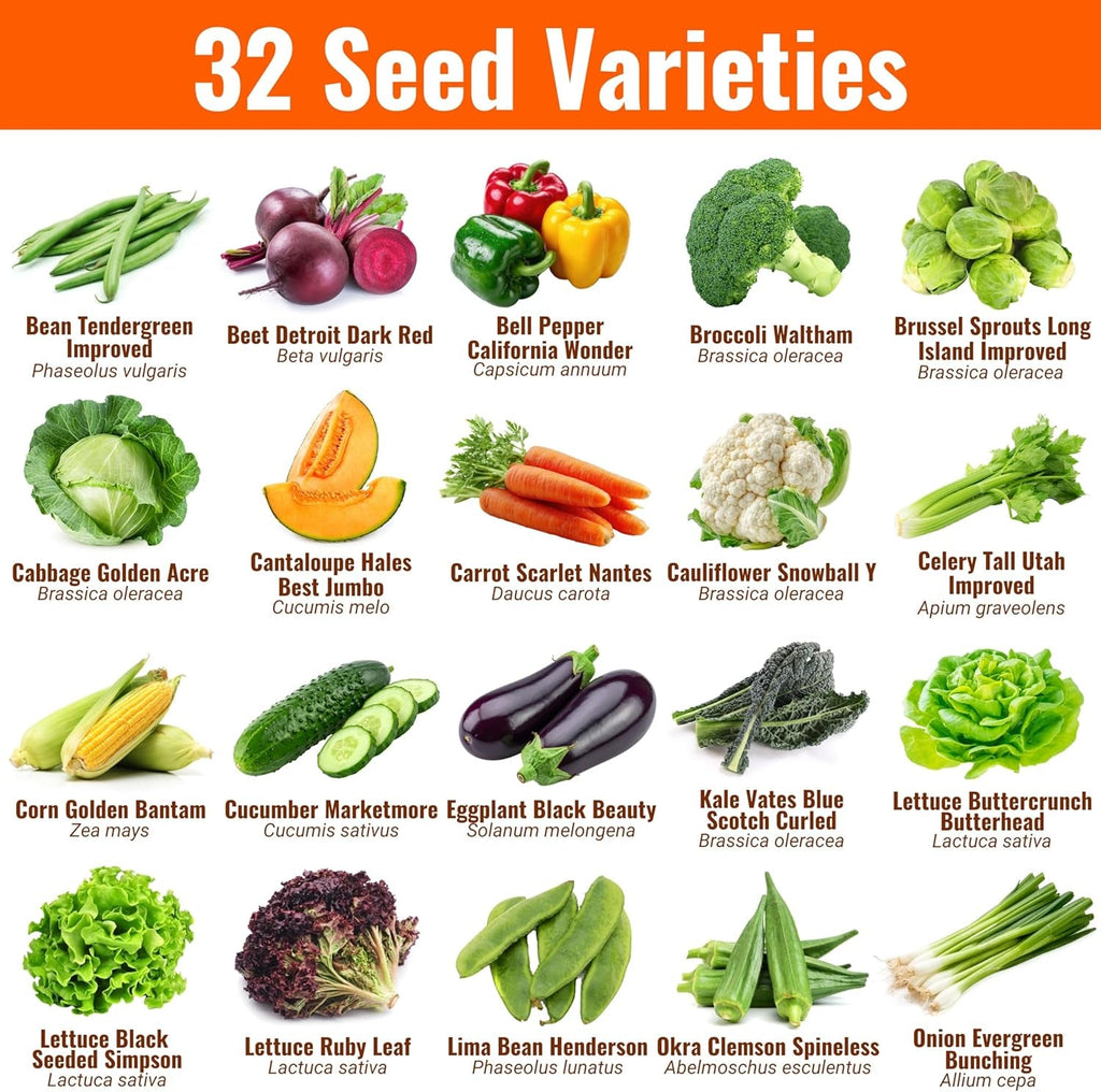 Open Seed Vault - 15,000 Heirloom Seeds Across 32 Varieties for Survival Gardening - Non-GMO Vegetable and Fruit Seeds for 2026 Season - Suitable for Indoor and Outdoor Planting - thewrightstore