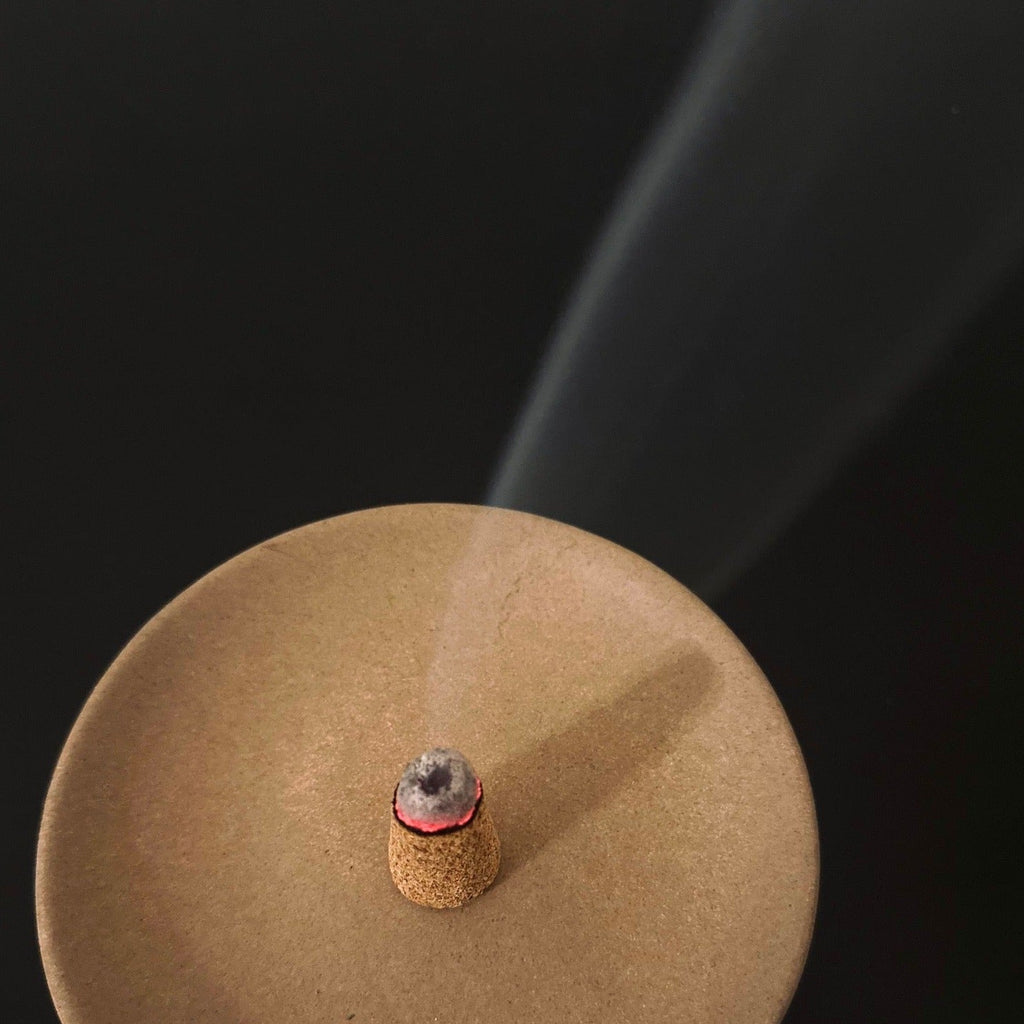 Palo Santo Incense Cones - thewrightstore